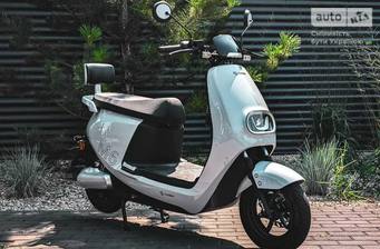 NISA M6 2025 Base