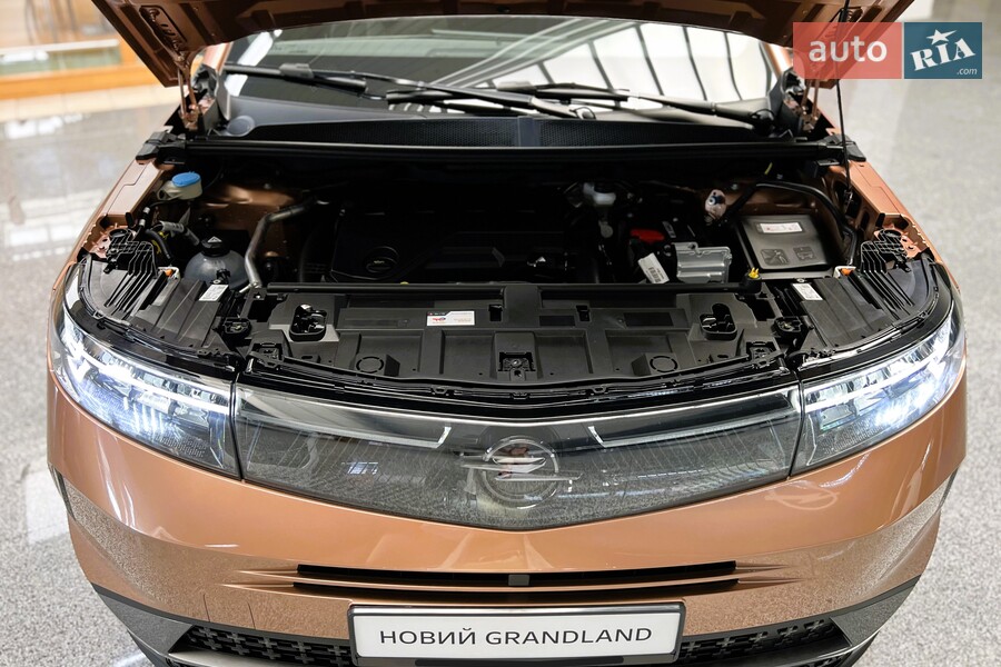 Opel Grandland - фото 23