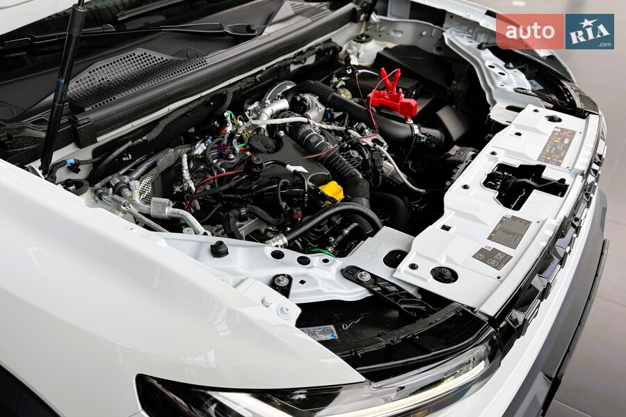 Renault Duster - фото 24