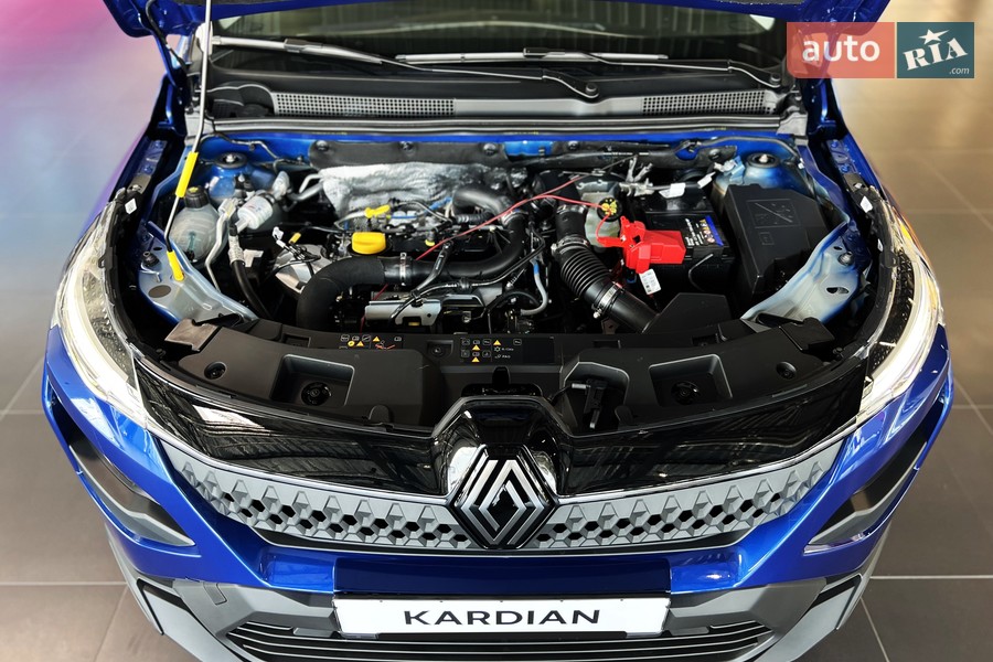 Renault Kardian - фото 24