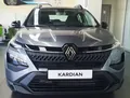 Renault Kardian Renault Kardian