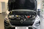 Renault Kardian - фото 18
