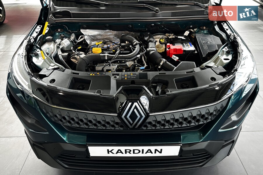 Renault Kardian - фото 21