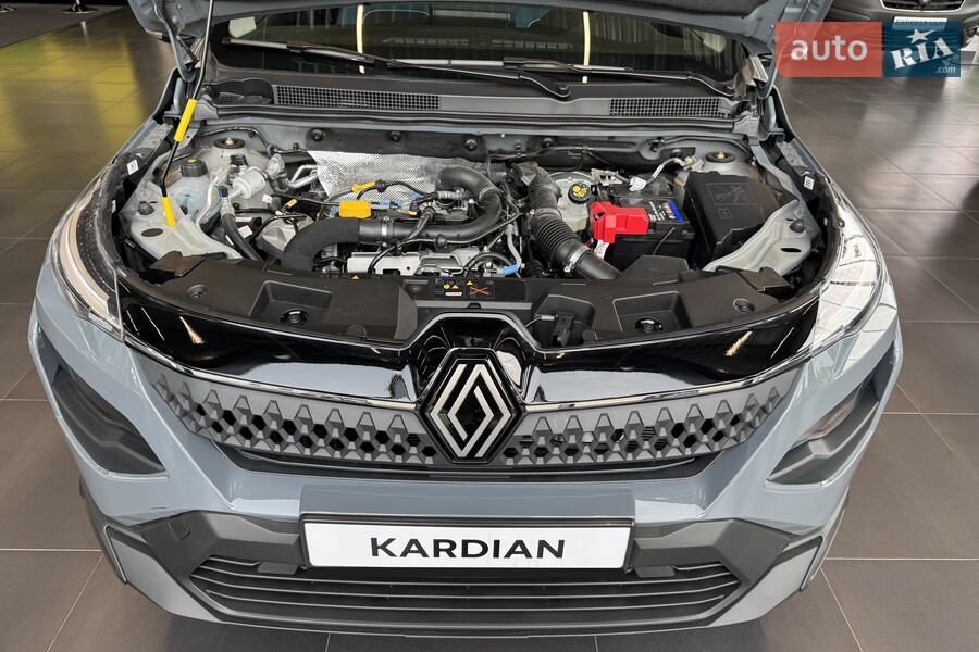 Renault Kardian - фото 15
