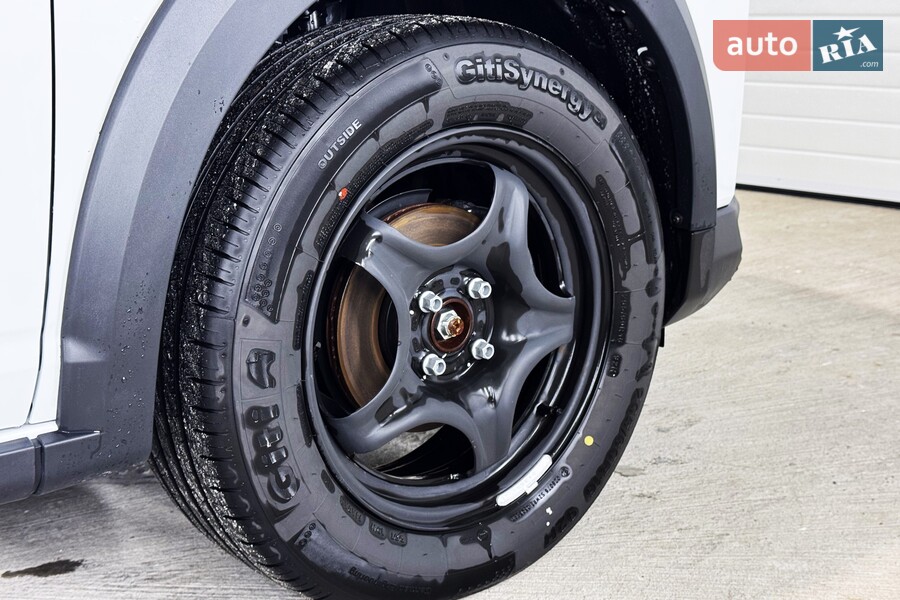 Renault Kardian - фото 12