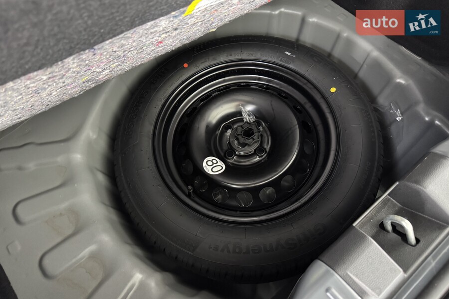 Renault Kardian - фото 28