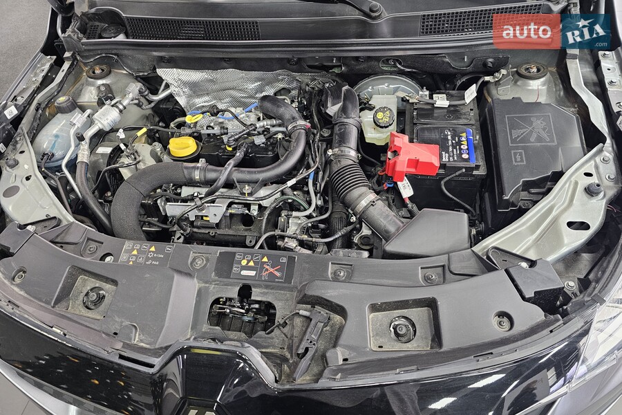 Renault Kardian - фото 20