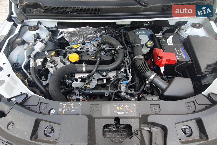 Renault Kardian - фото 19