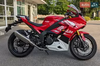 Rider Iron 250