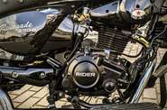 Rider Renegade 250CC Base