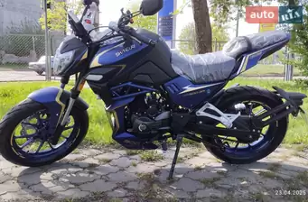 Shineray Nitrox 300