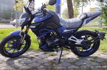 Shineray Nitrox 300 2025 Base