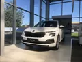 Skoda Kamiq Skoda Kamiq