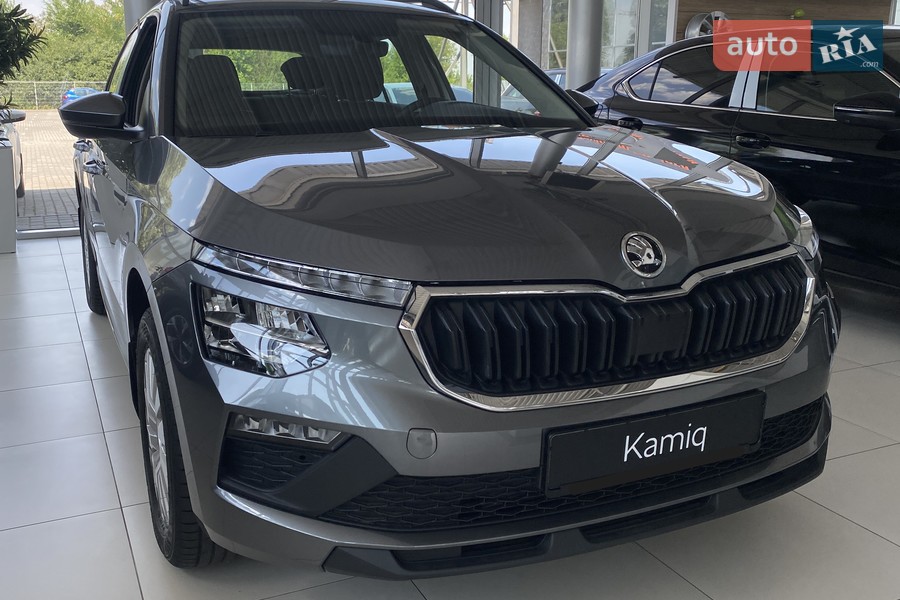 Skoda Kamiq - фото 3