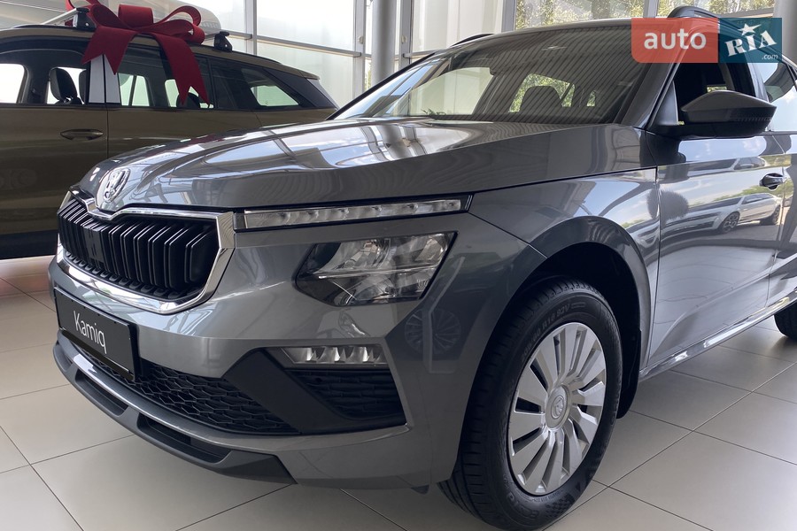 Skoda Kamiq - фото 8