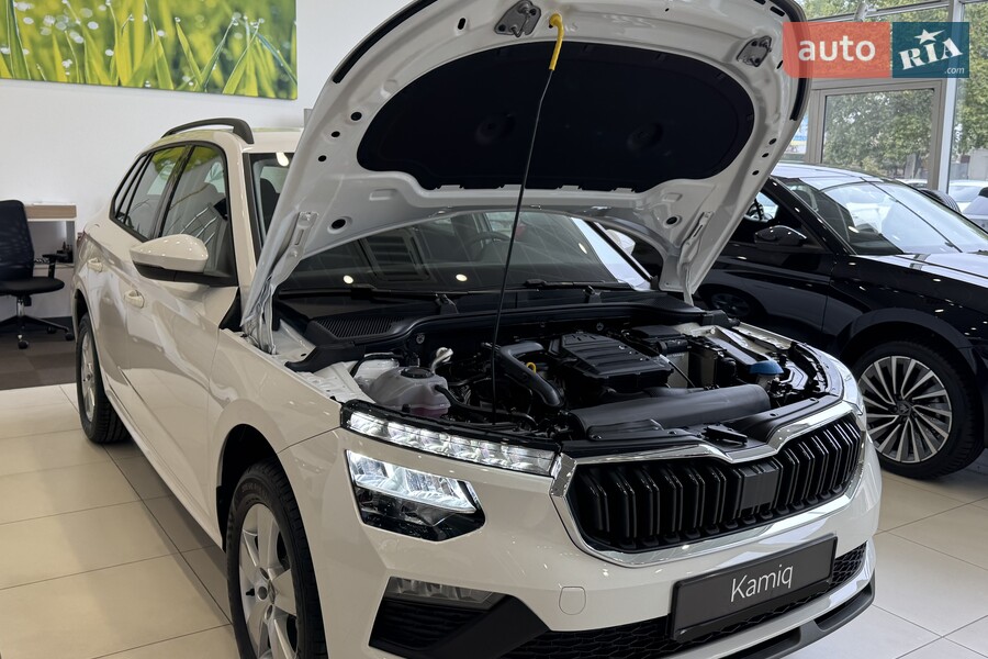Skoda Kamiq - фото 22