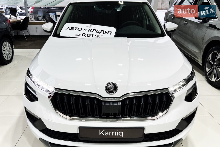 Skoda Kamiq - фото 4
