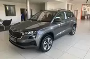 Skoda Karoq Selection