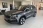 Skoda Karoq Selection