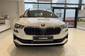 Skoda Karoq Style