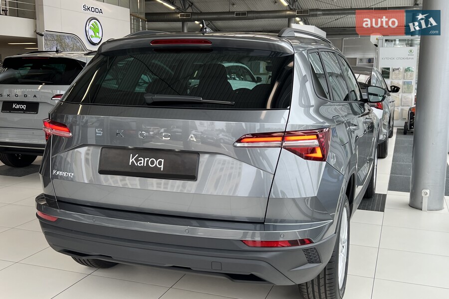 Skoda Karoq - фото 12