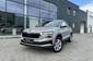 Skoda Karoq Selection