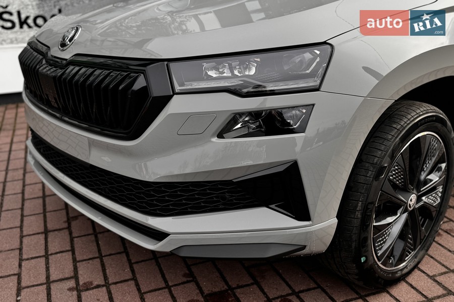 Skoda Karoq - фото 19