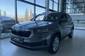 Skoda Karoq Selection