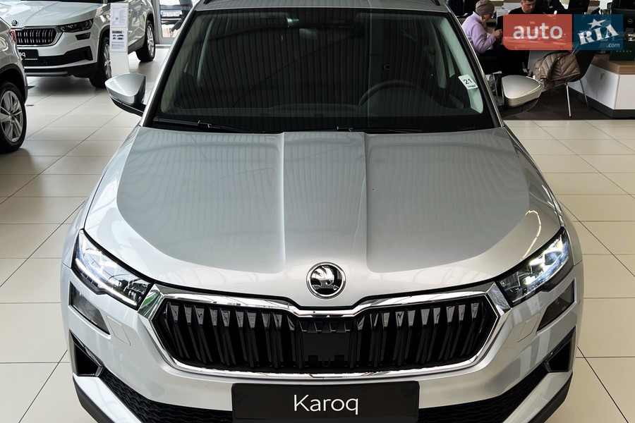 Skoda Karoq - фото 3
