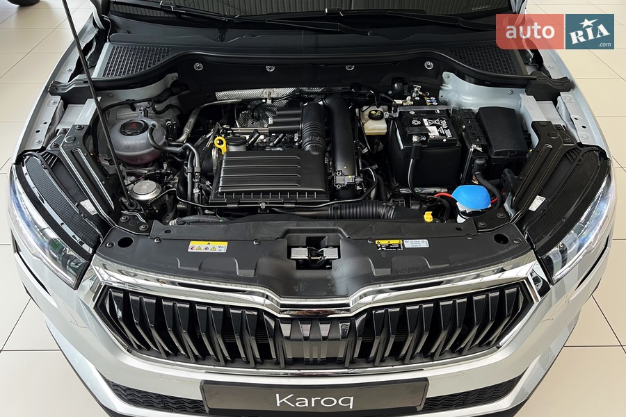 Skoda Karoq - фото 36