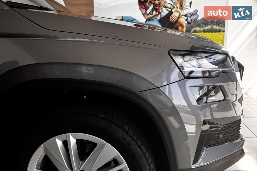 Skoda Karoq - фото 9