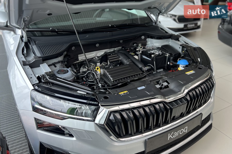 Skoda Karoq - фото 37
