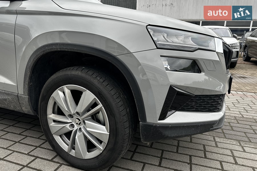 Skoda Karoq - фото 13