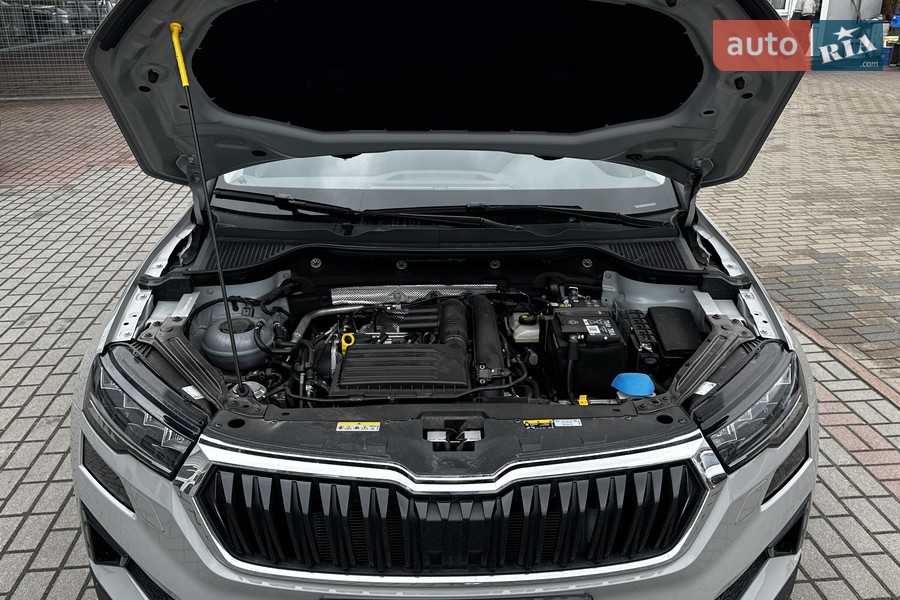 Skoda Karoq - фото 38