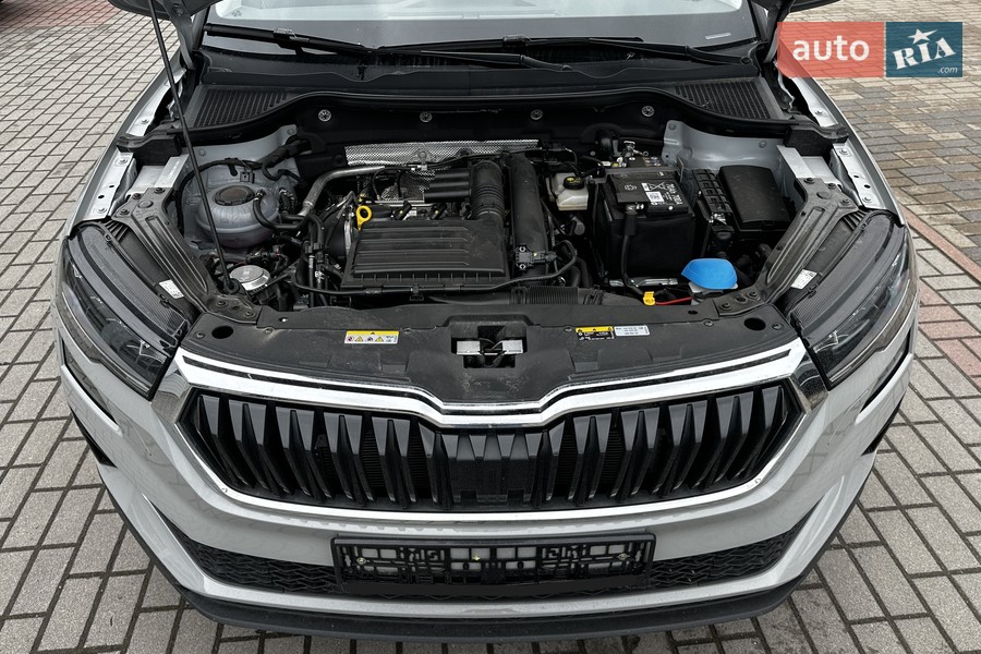 Skoda Karoq - фото 39