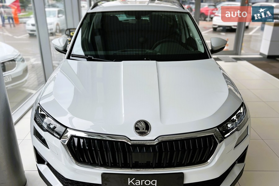 Skoda Karoq - фото 1