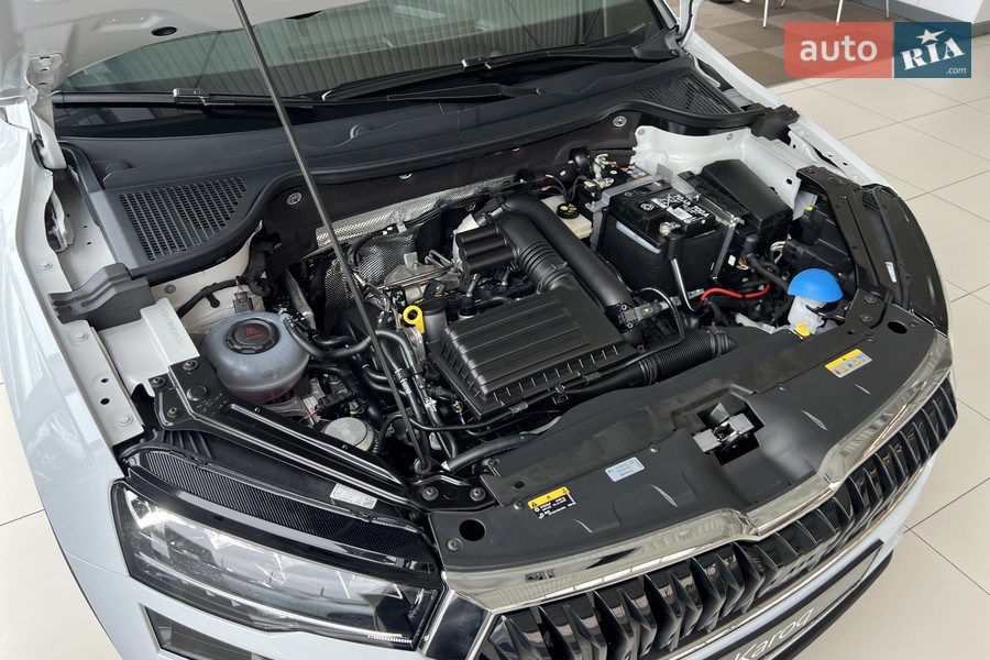 Skoda Karoq - фото 26