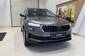 Skoda Karoq Selection Plus