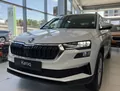 Skoda Karoq Skoda Karoq
