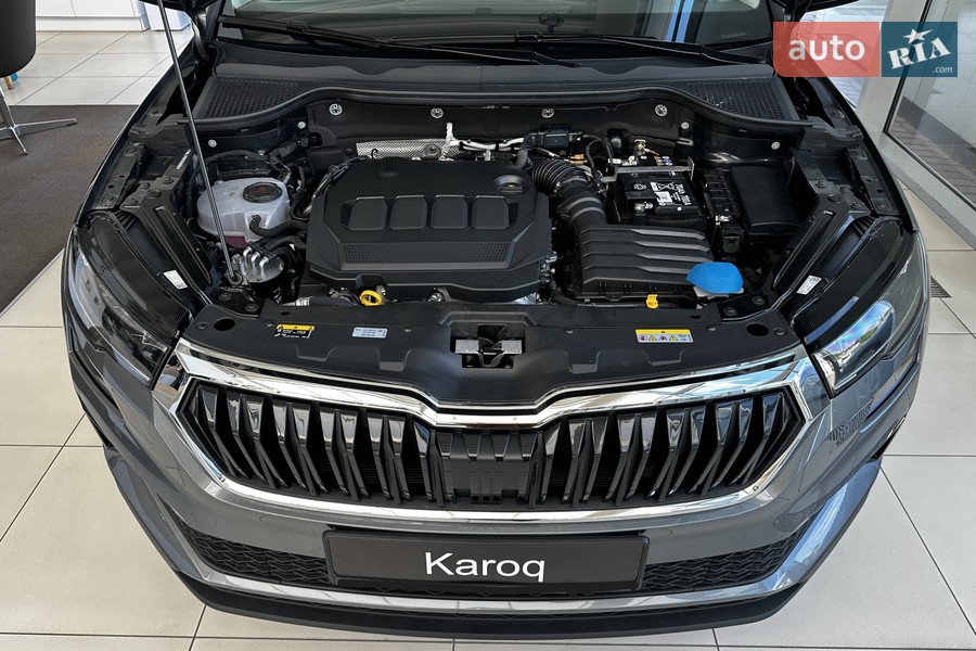 Skoda Karoq - фото 34
