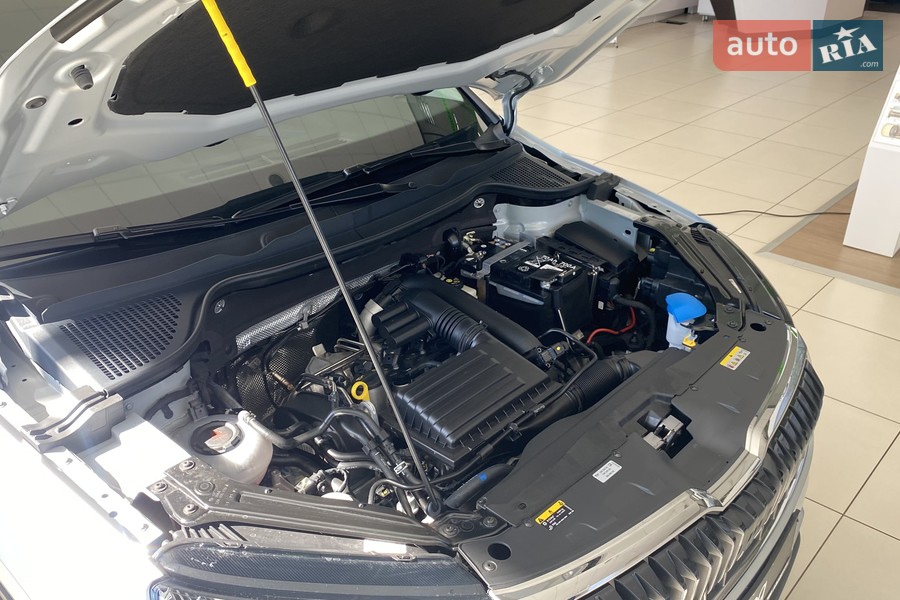 Skoda Karoq - фото 29