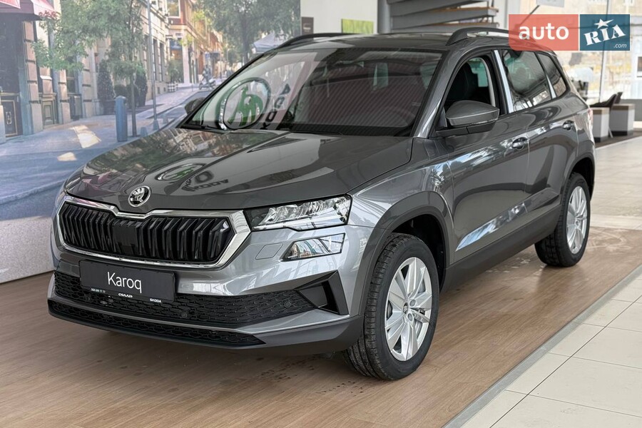 Skoda Karoq - фото 4