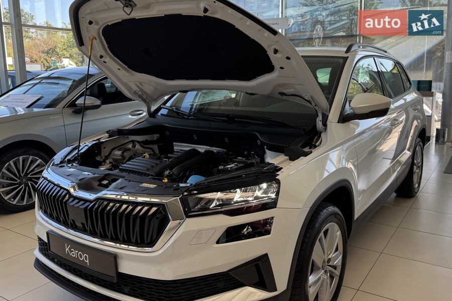 Skoda Karoq - фото 20
