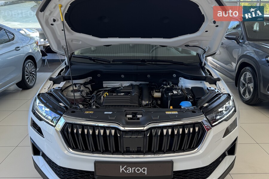 Skoda Karoq - фото 21