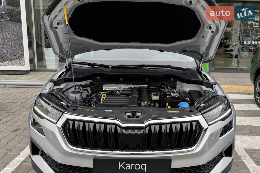 Skoda Karoq - фото 22