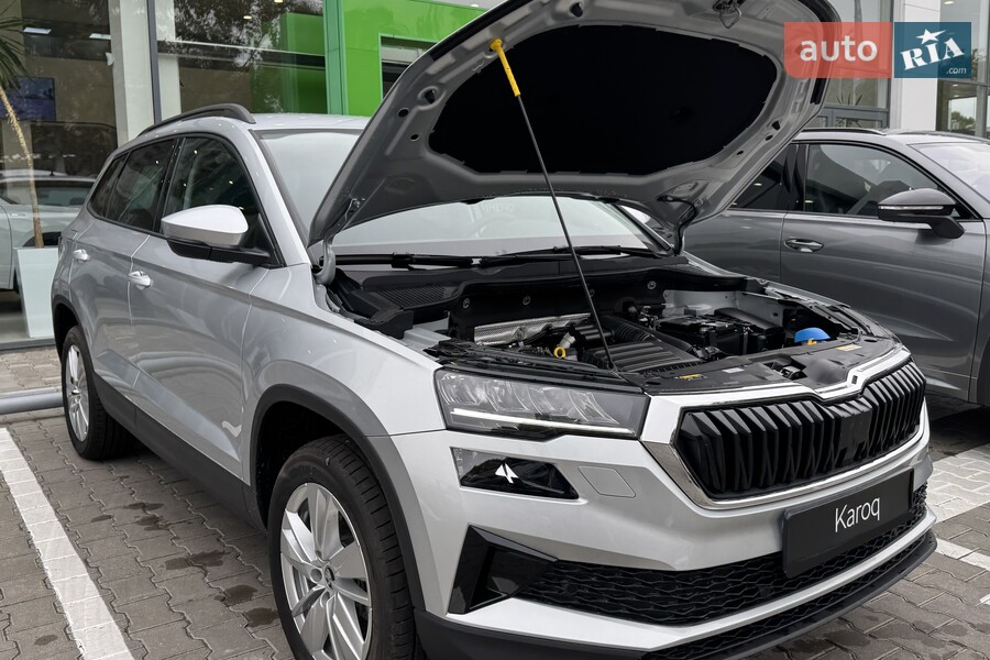 Skoda Karoq - фото 21