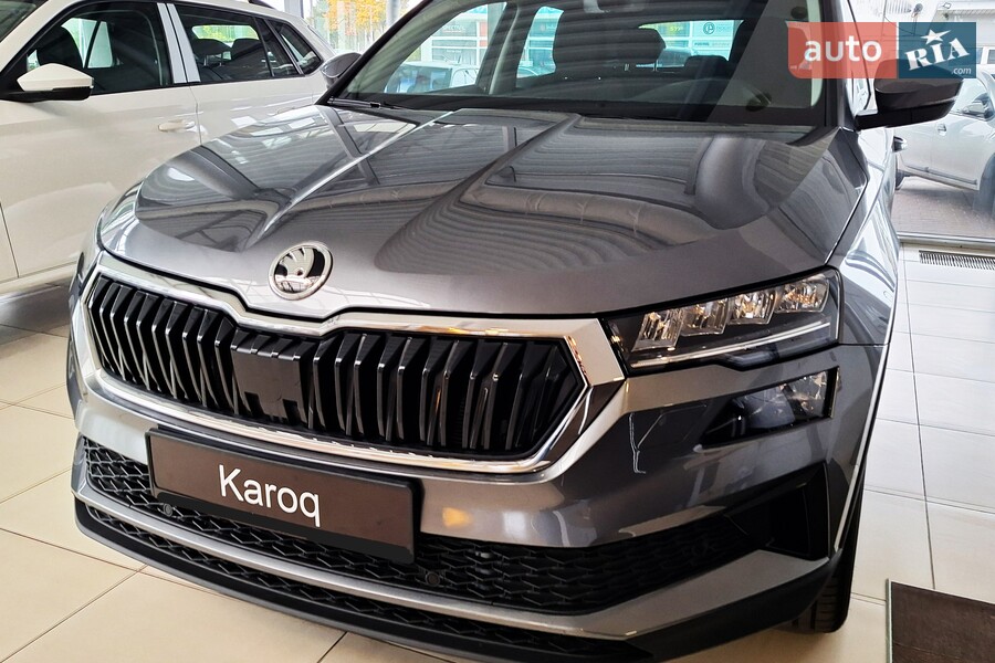 Skoda Karoq - фото 3