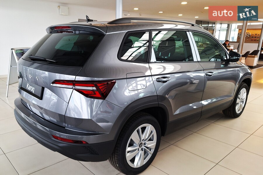 Skoda Karoq - фото 6
