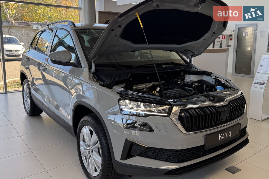 Skoda Karoq - фото 21