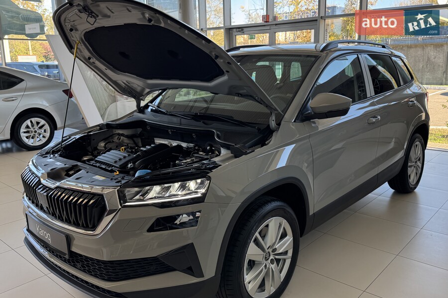 Skoda Karoq - фото 19